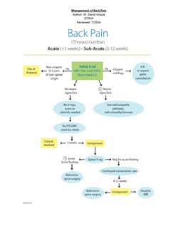 management of back pain