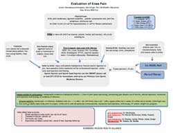 Evaluation of Knee Pain